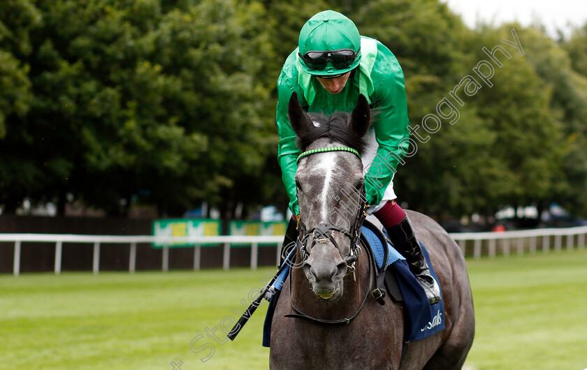 Running-Lion-0001 
 RUNNING LION (Oisin Murphy)
Newmarket 12 Jul 2024 - Pic Steven Cargill / Racingfotos.com