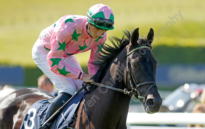 Goldenstatewarrior-0002 
 GOLDENSTATEWARRIOR (Ben Coen)
Goodwood 26 May 2023 - Pic Steven Cargill / Racingfotos.com