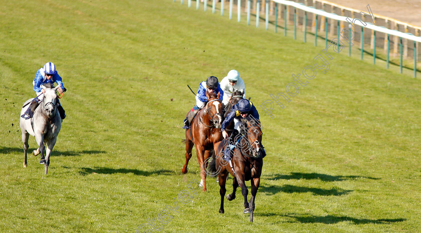 Scentasia-0002 
 SCENTASIA (Robert Havlin) wins The Parklands Leisure Holiday Distributors Handicap
Yarmouth 18 Sep 2019 - Pic Steven Cargill / Racingfotos.com