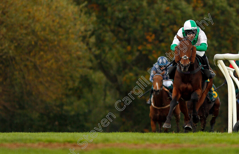 Carys -Commodity-0001 
 CARYS' COMMODITY (Jonjo O'Neill Jr) wins The Champions Day Form Study On attheraces.com/ascot Handicap Hurdle
Fakenham 16 Oct 2020 - Pic Steven Cargill / Racingfotos.com