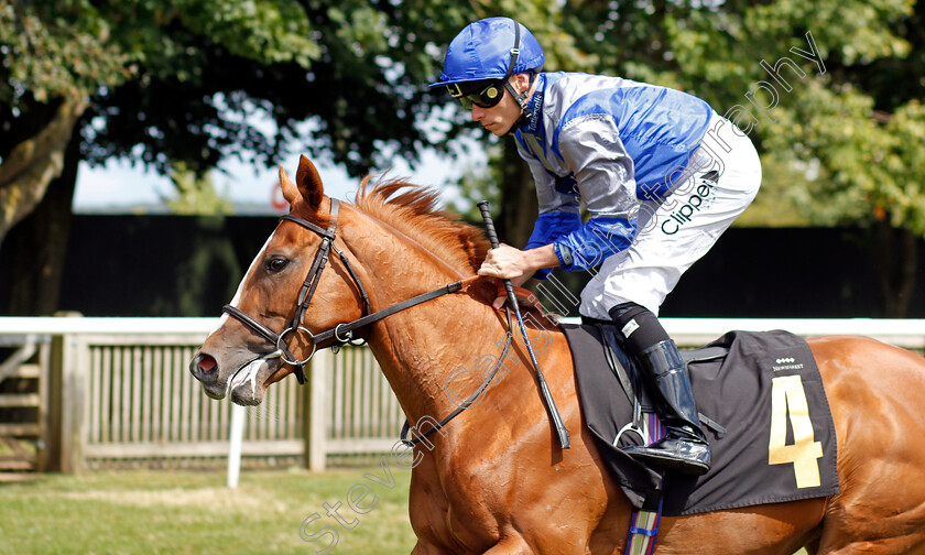 Homer s-Girl-0001 
 HOMER'S GIRL (Kieran Shoemark)
Newmarket 7 Aug 2021 - Pic Steven Cargill / Racingfotos.com