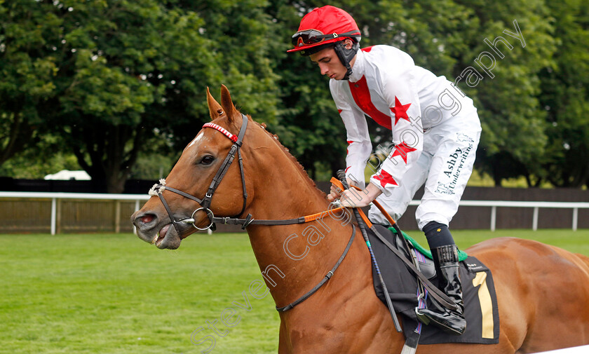 Metabolt 
 METABOLT (Rossa Ryan)
Newmarket 12 Jul 2024 - Pic Steven Cargill / Racingfotos.com