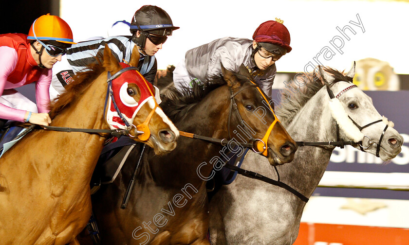 Hermocrates-0002 
 HERMOCRATES (centre, Rossa Ryan) with FENJAL (right) and VIN D'HONNEUR (left) on his way to winning in The Ladbrokes Home Of The Odds Boost Handicap 
Wolverhampton 7 Jan 2019 - Pic Steven Cargill / Racingfotos.com