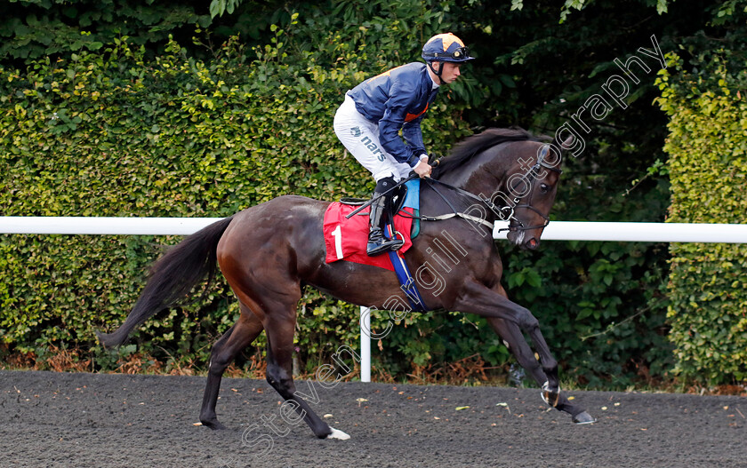 Shamardia-0001 
 SHAMARDIA (Ryan Kavanagh)
Kempton 16 Jul 2024 - Pic Steven Cargill / Racingfotos.com