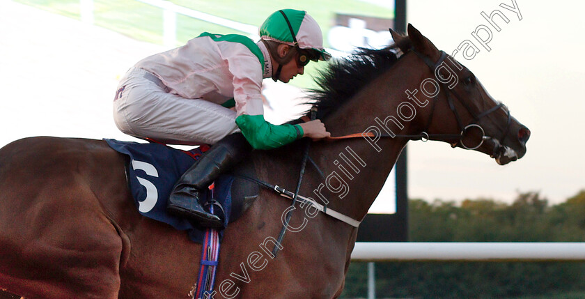 Dixieland-Diva-0003 
 DIXIELAND DIVA (Rob Hornby) wins The Redzonesports.bet NFL Experts Fillies Novice Median Auction Stakes
Wolverhampton 5 Sep 2018 - Pic Steven Cargill / Racingfotos.com