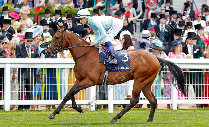 Binadham-0002 
 BINADHAM (Benoit de la Sayette)
Royal Ascot 20 Jun 2024 - Pic Steven Cargill / Racingfotos.com