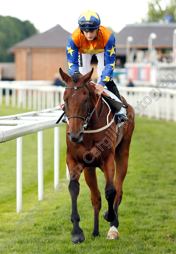 Making-Miracles-0001 
 MAKING MIRACLES (Harry Bentley)
York 15 Jun 2019 - Pic Steven Cargill / Racingfotos.com