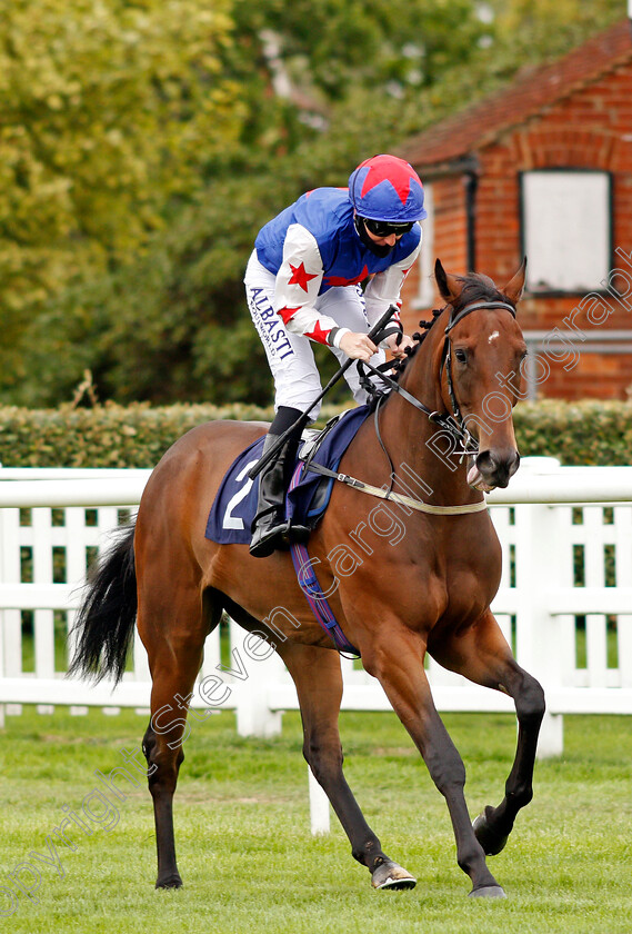 The-Sunday-Club-0001 
 THE SUNDAY CLUB (Pat Cosgrave)
Lingfield 7 Sep 2020 - Pic Steven Cargill / Racingfotos.com