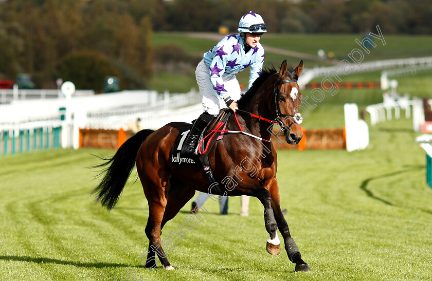 Go-Another-One-0001 
 GO ANOTHER ONE (Sean Bowen)
Cheltenham 26 Oct 2018 - Pic Steven Cargill / Racingfotos.com