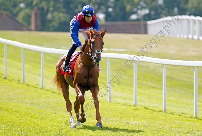 Maximum-Dividend-0001 
 MAXIMUM DIVIDEND (Pat Dobbs)
Sandown 7 Jul 2023 - Pic Steven Cargill / Racingfotos.com