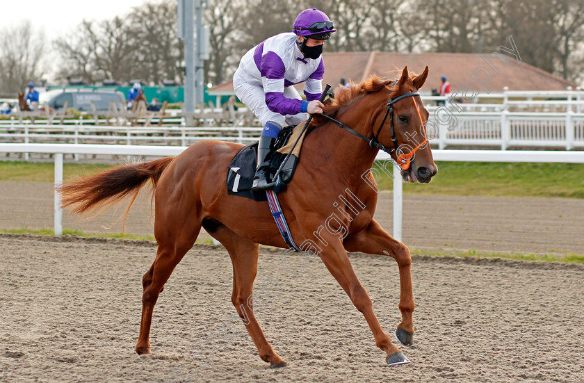 Decisive-Edge-0001 
 DECISIVE EDGE (Martin Dwyer)
Chelmsford 1 Apr 2021 - Pic Steven Cargill / Racingfotos.com