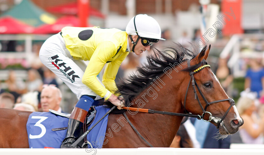 Aimeric 
 AIMERIC (David Egan)
York 20 Aug 2022 - Pic Steven Cargill / Racingfotos.com