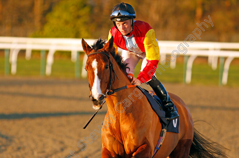 Dangerous-Ends-0001 
 DANGEROUS ENDS (Ray Dawson)
Lingfield 4 Jan 2020 - Pic Steven Cargill / Racingfotos.com