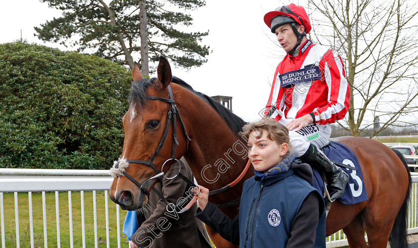 Toro-Dorado-0002 
 TORO DORADO (Luke Morris) after The Bombardier Golden Beer Handicap Div1
Lingfield 2 Jan 2020 - Pic Steven Cargill / Racingfotos.com