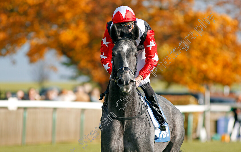 Arbalet-0001 
 ARBALET (James Doyle) Newmarket 14 Oct 2017 - Pic Steven Cargill / Racingfotos.com