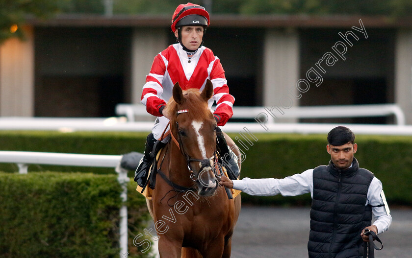 Dunes-Song-0001 
 DUNES SONG (Trevor Whelan)
Kempton 16 Jul 2024 - Pic Steven Cargill / Racingfotos.com