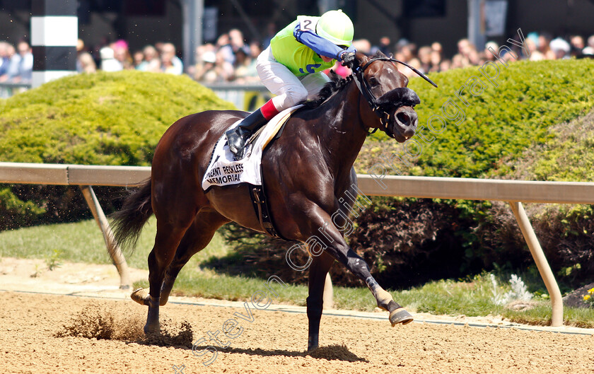 Final-Form-0001 
 FINAL FORM (Trevor McCarthy)
Pimlico, Baltimore USA, 17 May 2019 - Pic Steven Cargill / Racingfotos.com