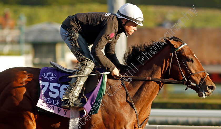 Just-F-Y-I-0002 
 JUST F Y I training for The Breeders' Cup Juvenile Fillies
Santa Anita USA, 30 Oct 2023 - Pic Steven Cargill / Racingfotos.com