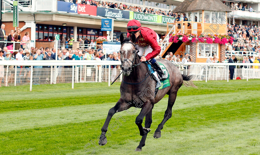 Roaring-Lion-0002 
 ROARING LION (Oisin Murphy) before The Juddmonte International Stakes
York 22 Aug 2018 - Pic Steven Cargill / Racingfotos.com