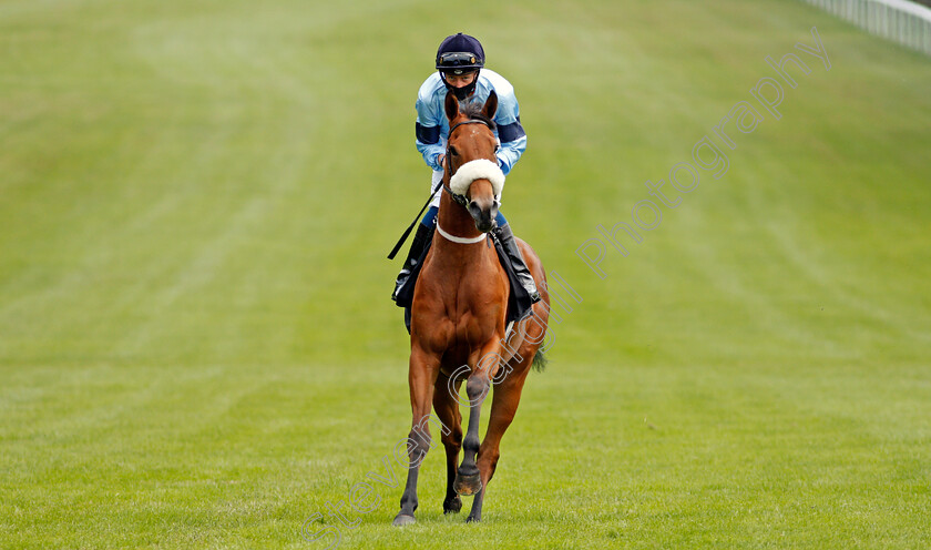 Tudor-Queen-0005 
 TUDOR QUEEN (Sam James)
Newmarket 26 Jun 2021 - Pic Steven Cargill / Racingfotos.com