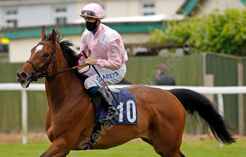 Sherella-0001 
 SHERELLA (Joey Haynes)
Yarmouth 1 Jul 2021 - Pic Steven Cargill / Racingfotos.com