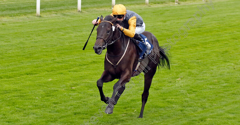 Indian-Run-0005 
 INDIAN RUN (Daniel Tudhope) wins The Tattersalls Acomb Stakes
York 23 Aug 2023 - Pic Steven Cargill / Racingfotos.com