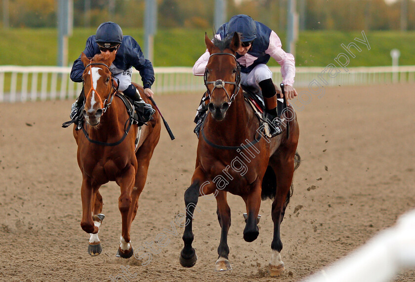 Montague-0005 
 MONTAGUE (right, Dougie Costello) beats FUSION CENTRAL (left) in The Bet toteplacepot At betfred.com Claiming Stakes Chelmsford 12 Oct 2017 - Pic Steven Cargill / Racingfotos.com