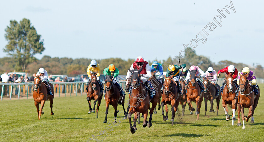 Fanny-Logan-0002 
 FANNY LOGAN (Robert Havlin) wins The EBF Stallions John Musker Fillies Stakes
Yarmouth 18 Sep 2019 - Pic Steven Cargill / Racingfotos.com