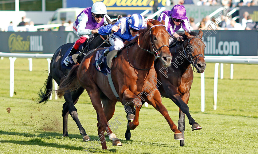 Molatham-0002 
 MOLATHAM (Jim Crowley) beats WICHITA (right) in The Weatherbys Global Stallions App Flying Scotsman Stakes
Doncaster 13 Sep 2019 - Pic Steven Cargill / Racingfotos.com