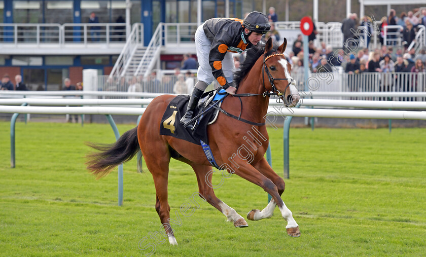 Elysian-Wolf-0001 
 ELYSIAN WOLF (Kieran O'Neill)
Nottingham 22 Apr 2023 - pic Steven Cargill / Becky Bailey / Racingfotos.com