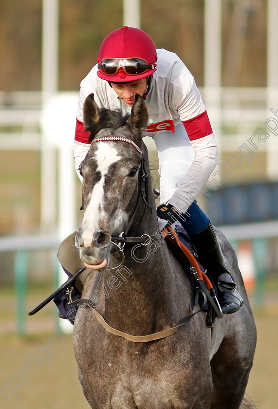 Raintown-0005 
 RAINTOWN (David Probert) winner of The Boost Your Acca-Fenwa With Betuk Handicap
Lingfield 20 Jan 2024 - Pic Steven Cargill / Racingfotos.com