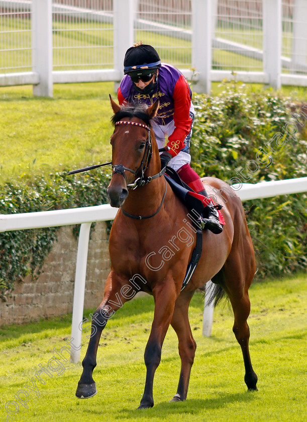 Dukedom-0001 
 DUKEDOM (Frankie Dettori)
Sandown 2 Jul 2021 - Pic Steven Cargill / Racingfotos.com