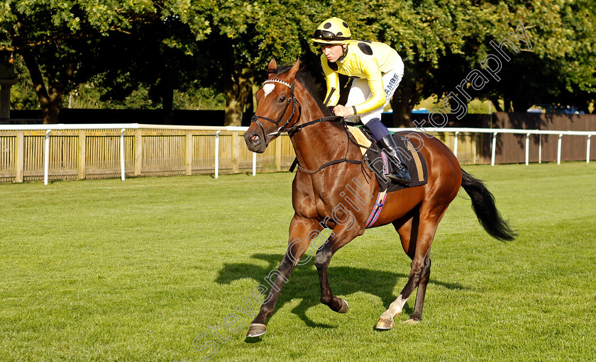 Asuka-0005 
 ASUKA (Billy Loughnane) winner of The Maritime Cargo Services On Time Maiden Stakes
Newmarket 9 Aug 2024 - Pic Steven Cargill / Racingfotos.com