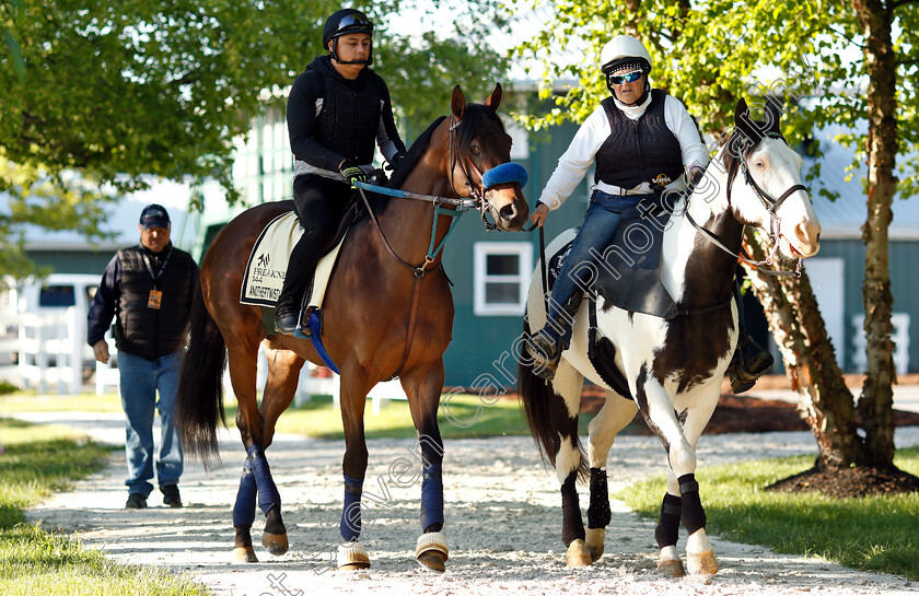 Anothertwistafate-0001 
 ANOTHERTWISTAFATE exercising in preparation for the Preakness Stakes
Pimlico, Baltimore USA, 15 May 2019 - Pic Steven Cargill / Racingfotos.com