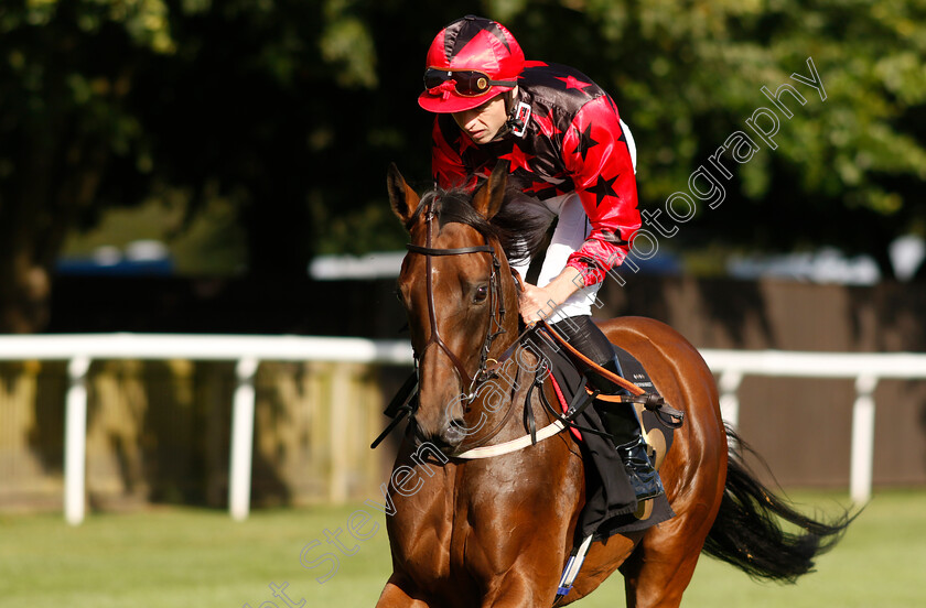 Naina-0005 
 NAINA (Christian Howarth) winner of The Maritime Cargo Services Ocean Freight Frenzy Selling Stakes
Newmarket 9 Aug 2024 - Pic Steven Cargill / Racingfotos.com