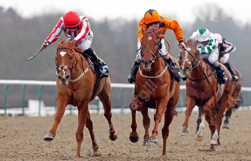 Toriano-0003 
 TORIANO (left, Tom Marquand) beats VARSOVIAN (right) in The Play Jackpot Games At sunbets.co.uk/vegas Handicap Lingfield 6 Jan 2018 - Pic Steven Cargill / Racingfotos.com