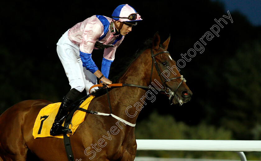 Petrastar-0001 
 PETRASTAR (James Doyle)
Kempton 18 Sep 2018 - Pic Steven Cargill / Racingfotos.com