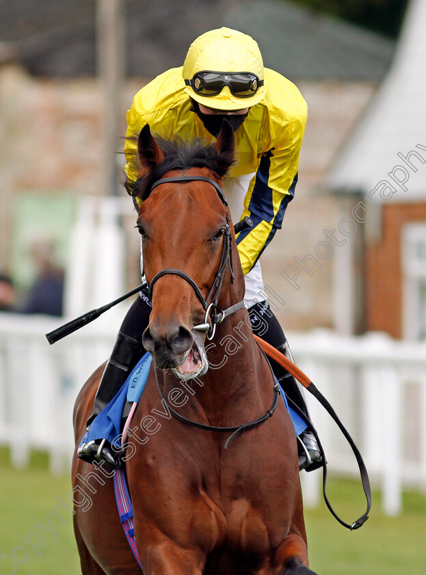 Beowulf-0001 
 BEOWULF (Hector Crouch)
Salisbury 1 Oct 2020 - Pic Steven Cargill / Racingfotos.com