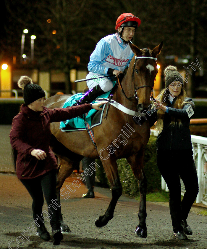 Verdana-Blue-0001 
 VERDANA BLUE (Luke Morris)
Kempton 5 Dec 2018 - Pic Steven Cargill / Racingfotos.com