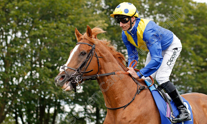 Dream-Of-Dreams-0002 
 DREAM OF DREAMS (Daniel Tudhope)
Newmarket 13 Jul 2019 - Pic Steven Cargill / Racingfotos.com