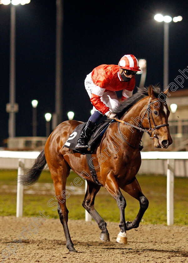 La-Tihaty-0003 
 LA TIHATY (Cameron Noble) winner of The Support The Injured Jockeys Fund Novice Stakes
Chelmsford 22 Jan 2021 - Pic Steven Cargill / Racingfotos.com