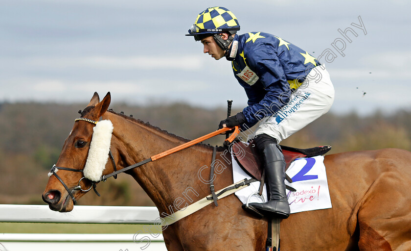 Henry s-Friend-0007 
 HENRY'S FRIEND (Ben Jones) winner of The Sodexo Live! Reynoldstown Novices Chase
Ascot 17 Feb 2024 - Pic Steven Cargill / Racingfotos.com