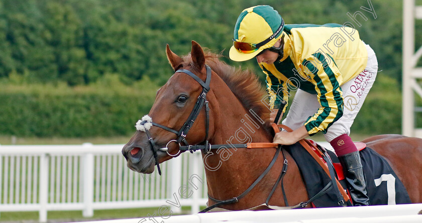 Baileys-Bling 
 BAILEYS BLING (Cieren Fallon)
Chelmsford 7 Jun 2022 - Pic Steven Cargill / Racingfotos.com