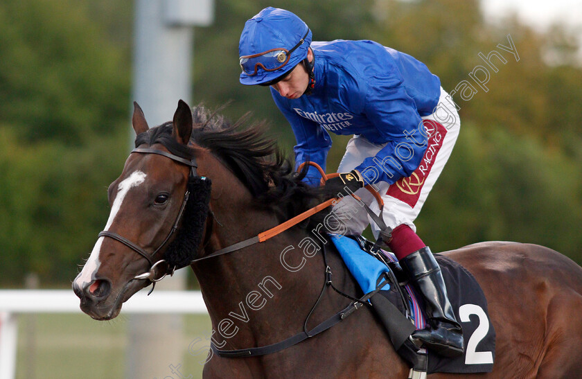 Desert-Fire-0001 
 DESERT FIRE (Oisin Murphy) winner of The Irish Lotto At totesport.com Handicap
Chelmsford 4 Sep 2019 - Pic Steven Cargill / Racingfotos.com