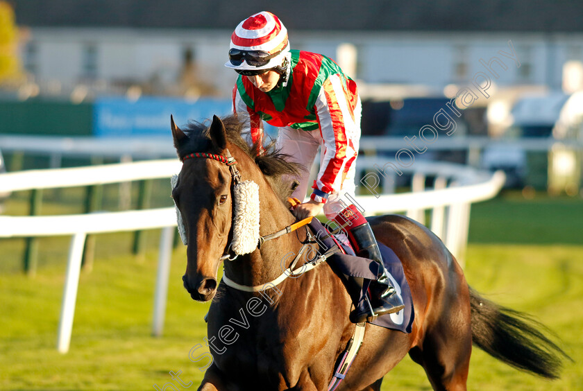 The-Spotlight-Kid-0005 
 THE SPOTLIGHT KID (Cieren Fallon) winner of The Peter Dunnett Memorial Handicap
Yarmouth 18 Oct 2022 - Pic Steven Cargill / Racingfotos.com