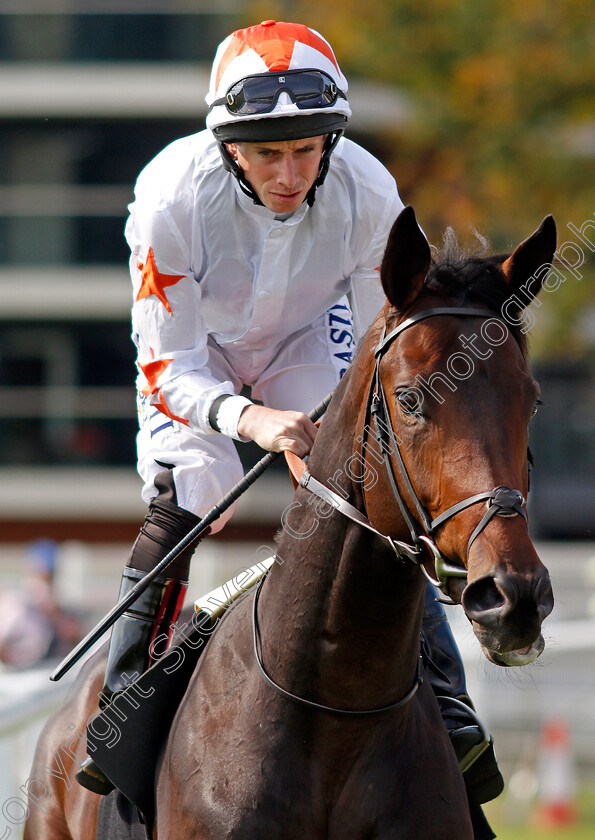 Gronkowski-0001 
 GRONKOWSKI (Ryan Moore) Newbury 23 Sep 2017 - Pic Steven Cargill / Racingfotos.com