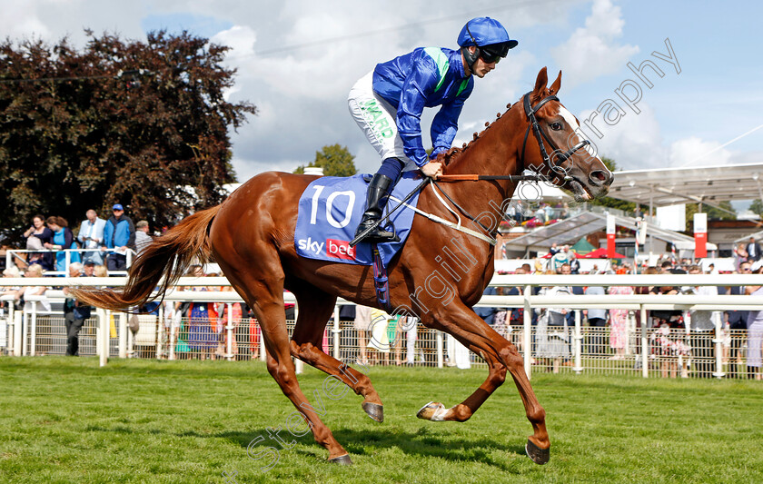 Edge-Of-Darkness-0001 
 EDGE OF DARKNESS (Jason Hart)
York 26 Aug 2023 - Pic Steven Cargill / Racingfotos.com