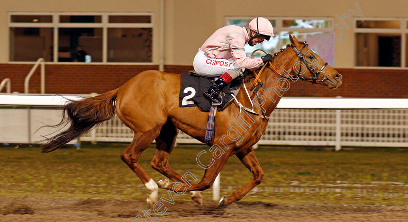 Fred-0004 
 FRED (Franny Norton) wins The tote.co.uk Live Streaming Every UK Race Handicap
Chelmsford 18 Feb 2021 - Pic Steven Cargill / Racingfotos.com