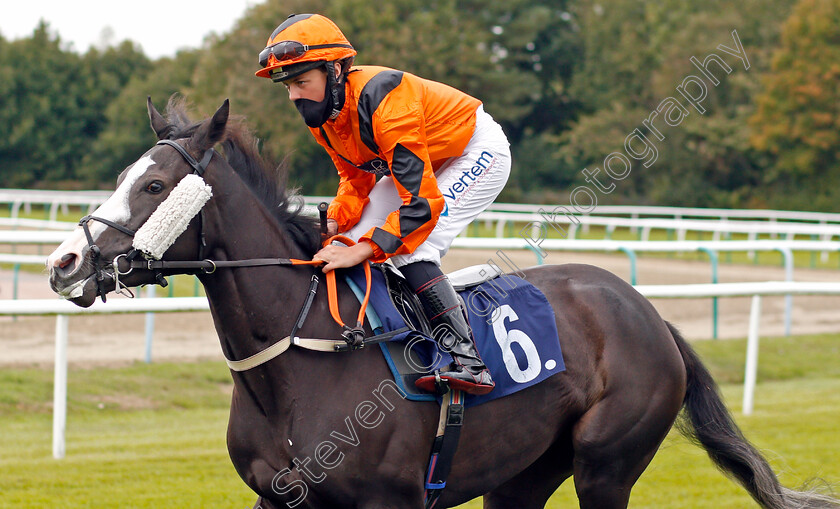 Pure-Purfection-0001 
 PURE PURFECTION (Rhiain Ingram)
Lingfield 7 Sep 2020 - Pic Steven Cargill / Racingfotos.com