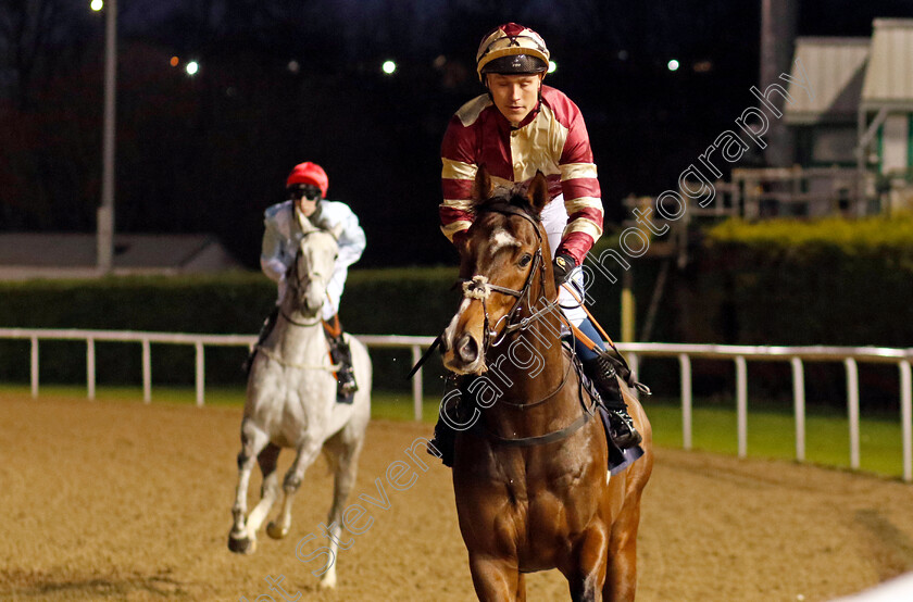 Ray-Gun-0001 
 RAY GUN (William Carver)
Wolverhampton 20 Dec 2024 - Pic Steven Cargill / Racingfotos.com